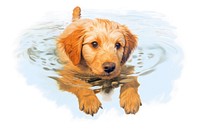 Dog swimming animal mammal puppy. AI generated Image by rawpixel.