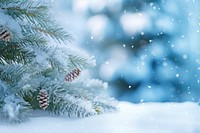 Close-up christmas tree snow backgrounds outdoors. AI generated Image by rawpixel.