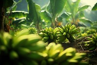 Banana farm plant food agriculture. AI generated Image by rawpixel.