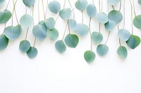 Eucalyptus border backgrounds plant leaf. AI generated Image by rawpixel.