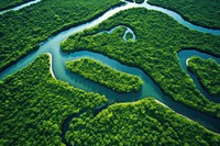 Amazing forrest and long river vegetation outdoors nature. AI generated Image by rawpixel.