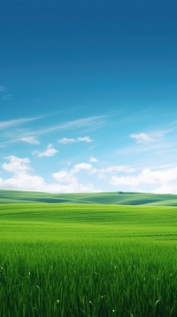 Green glass field nature sky backgrounds. AI generated Image by rawpixel.