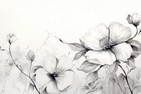 An ink and graphite sketch of flowers backgrounds drawing plant. AI generated Image by rawpixel.