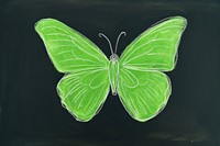 Butterfly insect sketch chalk. AI generated Image by rawpixel.