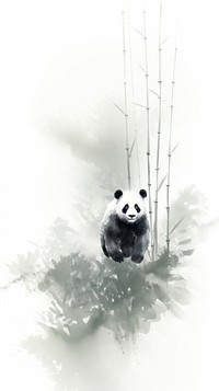 A panda and bamboo forest wildlife animal mammal. 