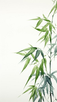 Bamboo leaves backgrounds plant leaf. AI generated Image by rawpixel.