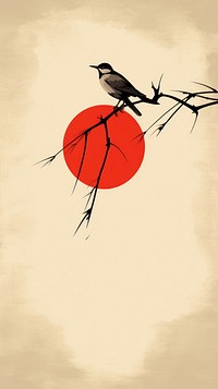 Bird with the red sun outdoors silhouette basketball