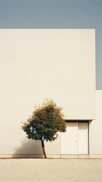 Garden and building architecture plant wall. AI generated Image by rawpixel.