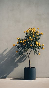 Garden nature flower plant fruit. AI generated Image by rawpixel.
