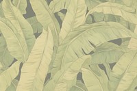 Tropical leave backgrounds pattern plant. 