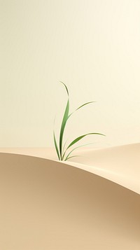 A sand dune with a small plant in it nature tranquility landscape. AI generated Image by rawpixel.