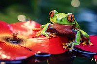 Frog with a leaf on the head amphibian wildlife animal. AI generated Image by rawpixel.