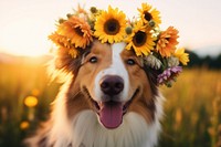 Happy smiling cute dog wearing a flower crown sunflower portrait outdoors. AI generated Image by rawpixel.
