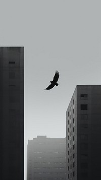 Bird fly city architecture building. AI generated Image by rawpixel.