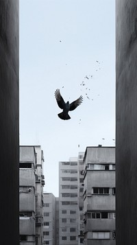 Bird fly city flying architecture. AI generated Image by rawpixel.
