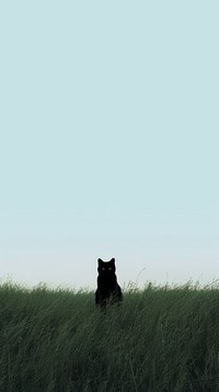 Grass field with black cat mammal animal pet. AI generated Image by rawpixel.