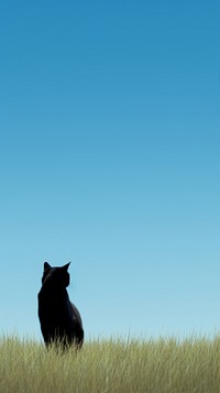 Grass field with black cat mammal animal pet. AI generated Image by rawpixel.