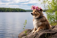 Dog wearing a flower crown lake landscape outdoors. AI generated Image by rawpixel.