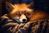 Fox sleeping on a pillow mammal animal pet. AI generated Image by rawpixel.
