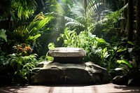 Rock podium nature plant sunlight. AI generated Image by rawpixel.