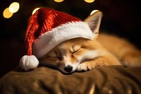 Sleeping fox wearing santa hat mammal animal pet. 