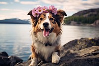 Smiling dog wearing a flower crown outdoors portrait mammal. AI generated Image by rawpixel.