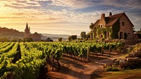 Vineyard outdoors village nature. AI generated Image by rawpixel.
