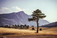 Mountain nature field tree. AI generated Image by rawpixel.