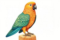 Sunconure parrot animal bird beak. AI generated Image by rawpixel.