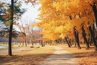 Autumn landscape outdoors nature. 