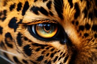 Leopard is seamless wildlife cheetah animal. AI generated Image by rawpixel.