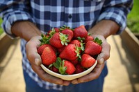 Strawberry fruit adult plant. AI generated Image by rawpixel.