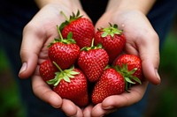 Strawberry finger fruit plant. AI generated Image by rawpixel.