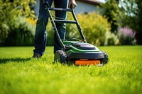 Lawn grass plant gardening. AI generated Image by rawpixel.