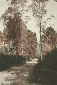 A Quiet Country Lane by Roland Searle.