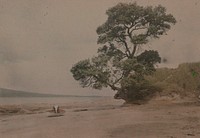 On the beach, Takapuna (1913) by Robert Walrond.