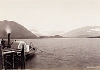 Lake Wanaka from Pembroke (1883-1895) by Burton Brothers.