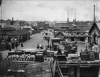 Auckland wharves (1869-1900) by Pulman and Son.