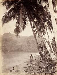 Pango Pango (sic) Harbour - Samoa (1800s) by Burton Brothers.