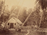 Ebon Trading Station. From the album: Views in the Pacific Islands (1886) by Thomas Andrew.