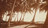 Foreshore.  From the album: Samoa (circa 1916).