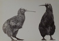 Kiwi (1880s).