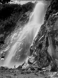 [Bowen Falls, Milford Sound] by Burton Brothers.