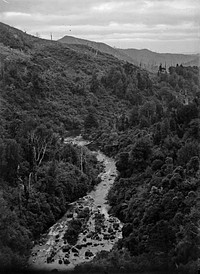 Bush Stream (circa 1907) by Fred Brockett.