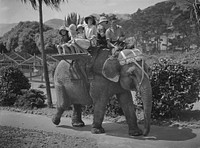 An elephant ride - Wellington Zoo? (1920-1939).