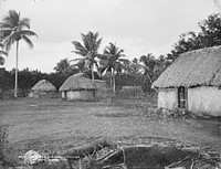 Neiafu, Vavau, Tonga (July 1884) by Burton Brothers and Alfred Burton.