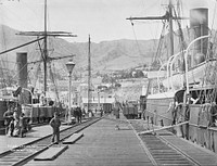 Lyttelton (1880s) by Burton Brothers.