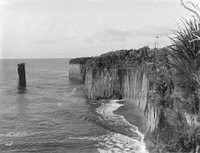 Cape Foulwind Beach, showing Giant's Tooth (circa 1900) by Muir and Moodie.