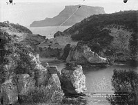 Mungaree from Boat Harbour, Chatham Islands (circa 1888) by William Dougall and Muir and Moodie.