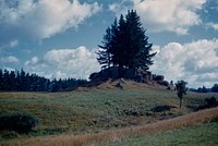 Beautiful example of an ignimbrite butte - or residual knob - on north side of Te Awamutu-Putaruru Road (08 February 1960) by Leslie Adkin.